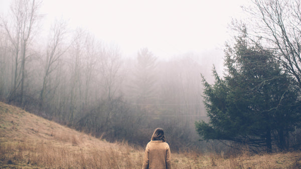 "Choosing the Bear” : Symbolism, Gendered Discourse, and the Misinterpretation of Feminist Allegory